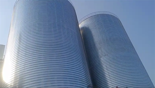 普兰店2座混凝土高架卷板仓